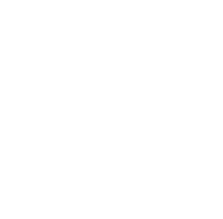 Logo France 2030